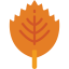 Leaf 图标 64x64