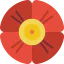 Poppy 图标 64x64
