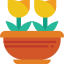 Tulips 图标 64x64