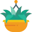 Plant 图标 64x64
