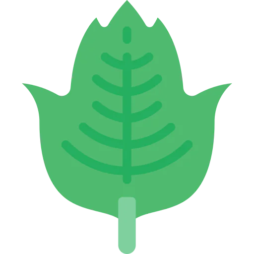 Leaf icon