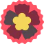 Flower 图标 64x64