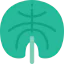 Leaf 图标 64x64