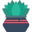 Plant 图标 64x64
