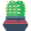 Cactus 图标 64x64