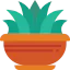 Plant 图标 64x64