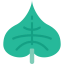 Leaf icône 64x64