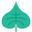 Leaf 图标 64x64