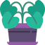 Plant 图标 64x64