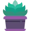 Plant 图标 64x64