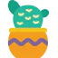Cactus 图标 64x64