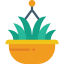 Plant 图标 64x64