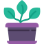 Plant 图标 64x64