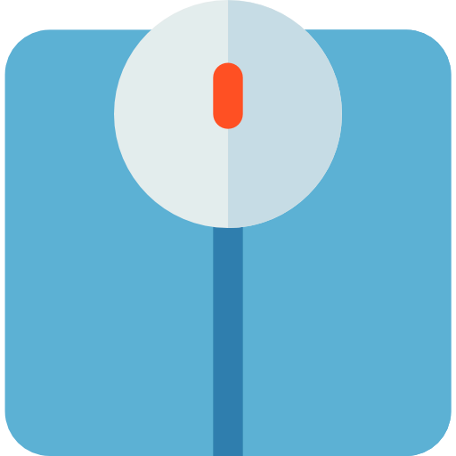 Scale icon