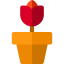 Plant icon 64x64