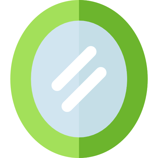 Mirror icon