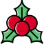 Mistletoe icon 64x64