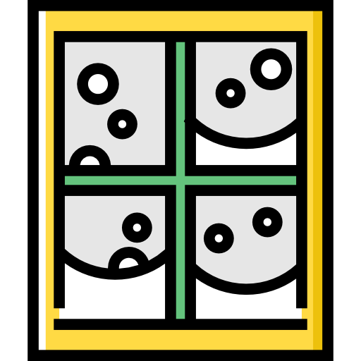 Window icon