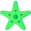 Starfish 图标 64x64