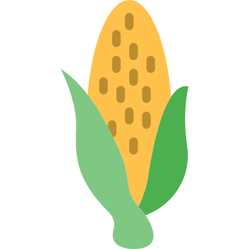 Corn icon