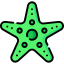 Starfish 图标 64x64