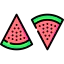 Watermelon 图标 64x64