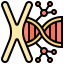 Dna 图标 64x64