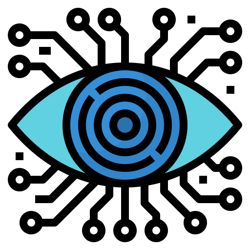 Vision icon