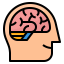 Brain ícone 64x64