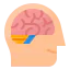 Brain Symbol 64x64