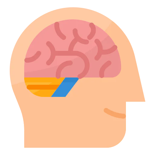 Brain 图标