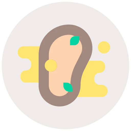 Steak icon