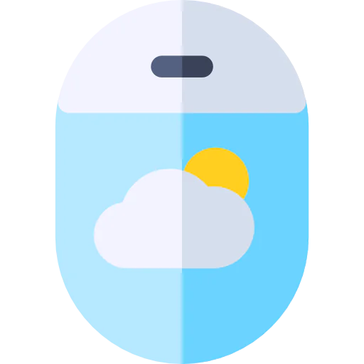 Window icon