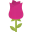 Rose icon 64x64