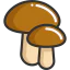 Mushrooms icon 64x64