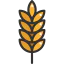 Wheat icon 64x64