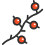 Berries icon 64x64