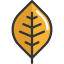 Leaf icon 64x64