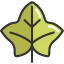 Leaf icon 64x64