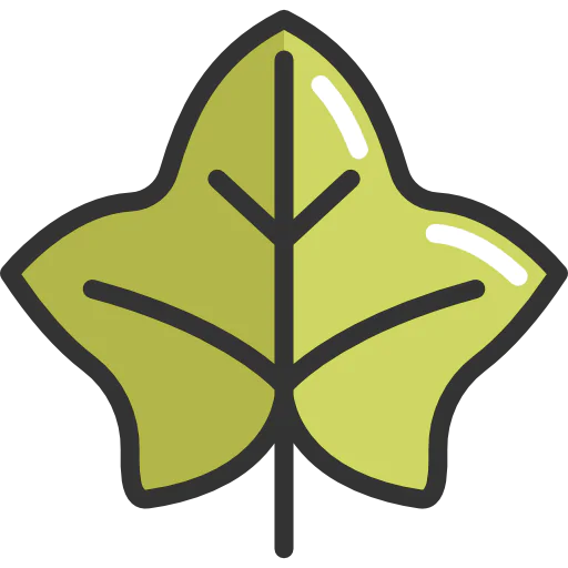 Leaf icon
