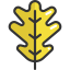 Leaf icon 64x64