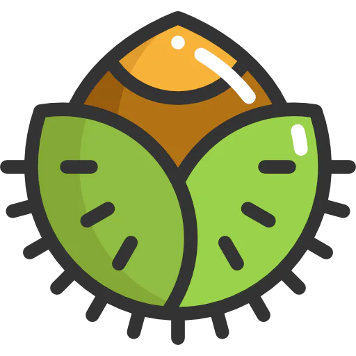 Nut icon