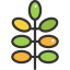 Leaf icon 64x64