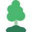Tree icon 64x64