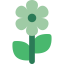 Flower icon 64x64