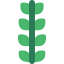 Plant icon 64x64