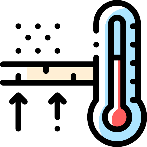 Temperature icon