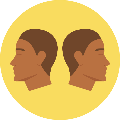 Gemini icon