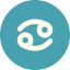Cancer icon 64x64