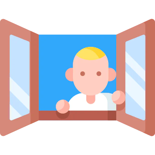 Window icon